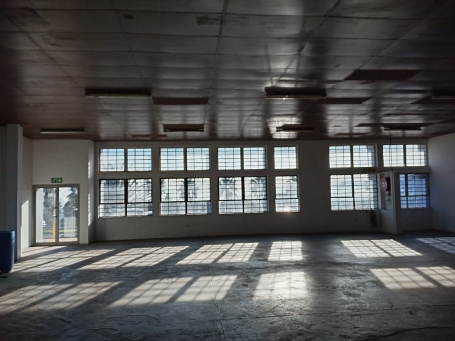 To Let commercial Property for Rent in University Estate Western Cape
